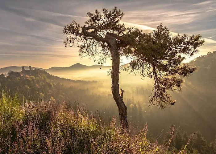 'emma' Appartement *